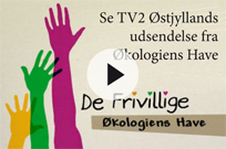 Frivillig TV2