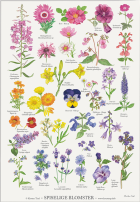 Spiselige blomster - plakat A2